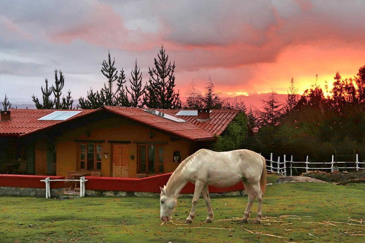 The Lazy Dog Inn A Mountain Lodge Huaraz  Extérieur photo
