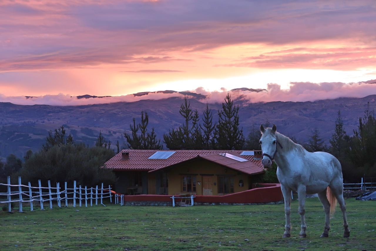 The Lazy Dog Inn A Mountain Lodge Huaraz  Extérieur photo