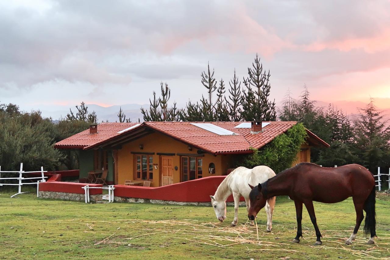 The Lazy Dog Inn A Mountain Lodge Huaraz  Extérieur photo